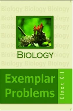 Ncert Books For Class 12 Biology 2 Biology exampler 12