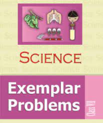 Ncert Books For Class 7 Science 2 download 5 1