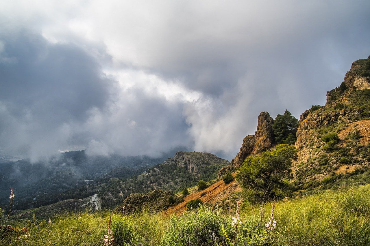 Ncert Notes For Class 11 Physics 1 mountains, meadow, fog