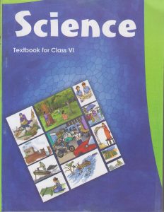 Ncert Notes For Class 6 2 Ncert Notes For Class 6 Science